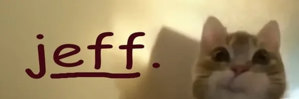 jeff (jeff) token artwork from the DexScreener token profile